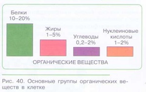 ХИМИЧЕСКИЙ СОСТАВ ОРГАНИЗМА_002